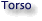 Torso